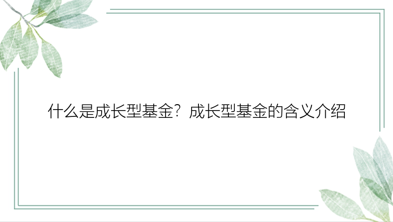 什么是成长型基金？成长型基金的含义介绍