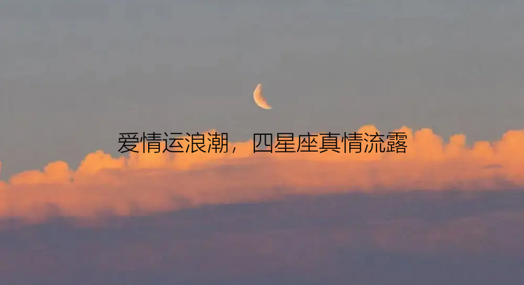 爱情运浪潮，四星座真情流露