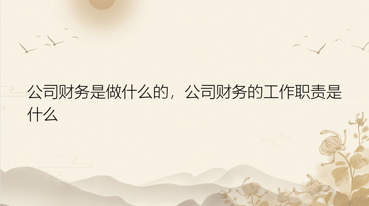 公司财务是做什么的，公司财务的工作职责是什么