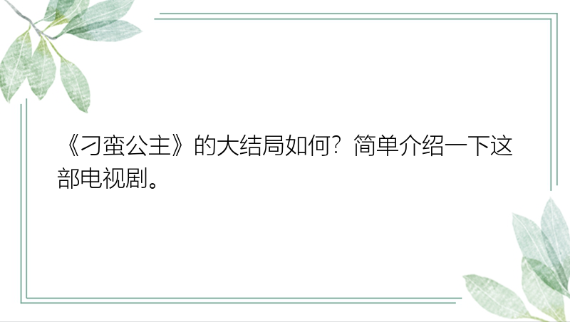 《刁蛮公主》的大结局如何？简单介绍一下这部电视剧。