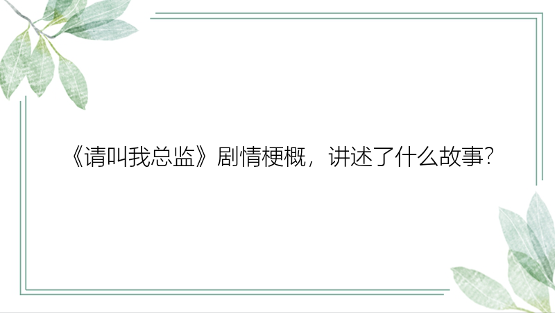 《请叫我总监》剧情梗概，讲述了什么故事？