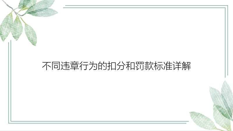 不同违章行为的扣分和罚款标准详解