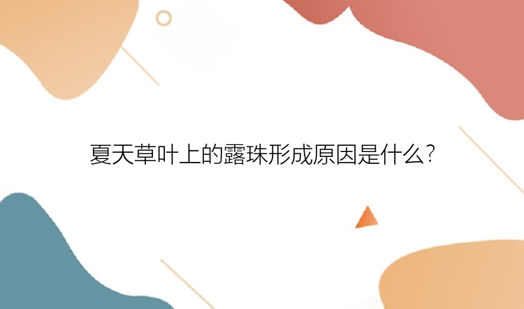 夏天草叶上的露珠形成原因是什么？