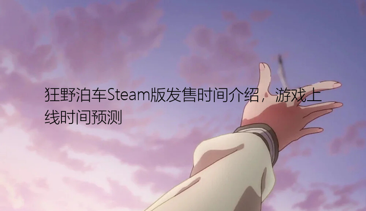 狂野泊车Steam版发售时间介绍，游戏上线时间预测