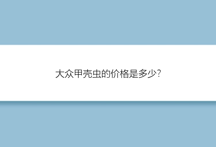 大众甲壳虫的价格是多少？