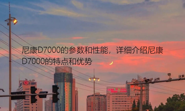 尼康D7000的参数和性能，详细介绍尼康D7000的特点和优势