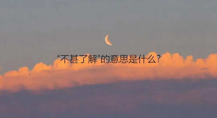 “不甚了解”的意思是什么？