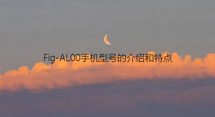 Fig-AL00手机型号的介绍和特点