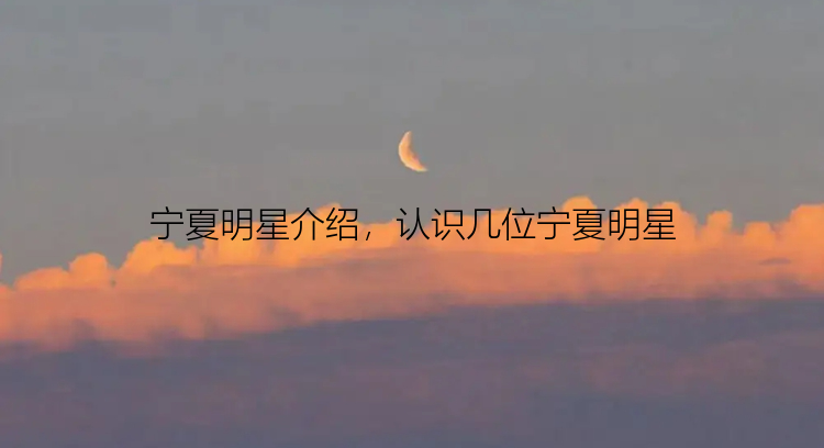 宁夏明星介绍，认识几位宁夏明星