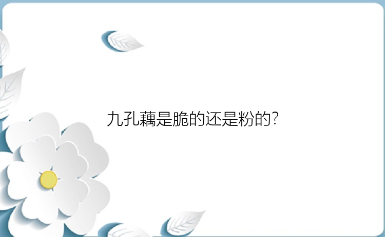 九孔藕是脆的还是粉的？