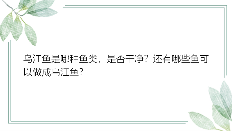 乌江鱼是哪种鱼类，是否干净？还有哪些鱼可以做成乌江鱼？