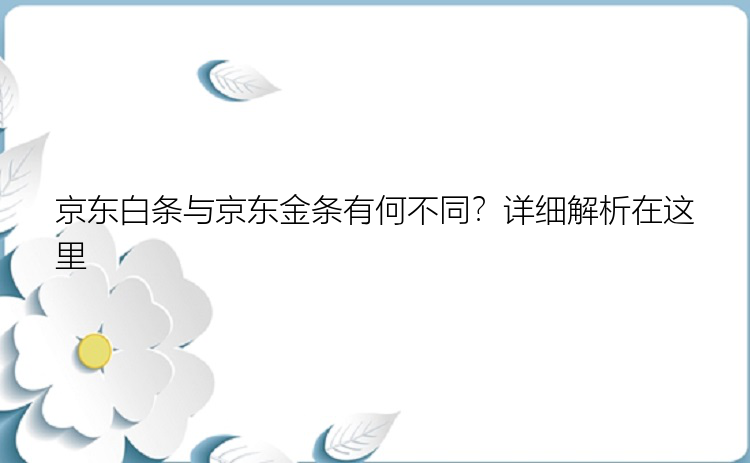 京东白条与京东金条有何不同？详细解析在这里