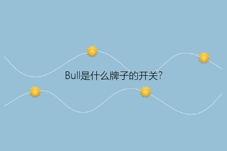 Bull是什么牌子的开关？