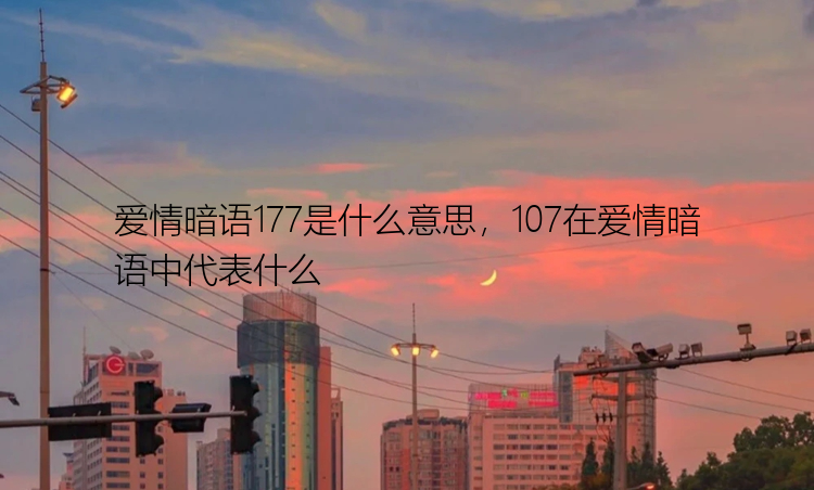 爱情暗语177是什么意思，107在爱情暗语中代表什么