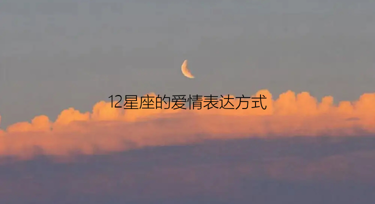 12星座的爱情表达方式