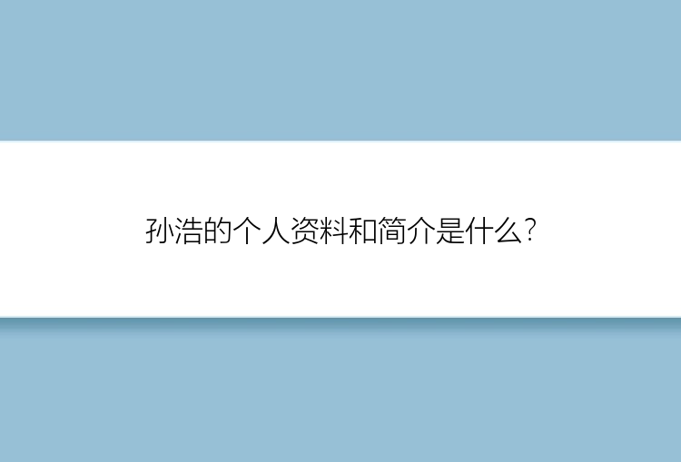 孙浩的个人资料和简介是什么？