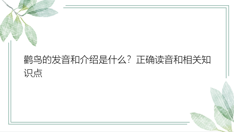 鹳鸟的发音和介绍是什么？正确读音和相关知识点