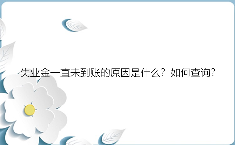 失业金一直未到账的原因是什么？如何查询？