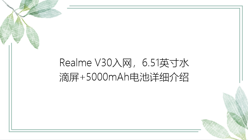 Realme V30入网，6.51英寸水滴屏+5000mAh电池详细介绍