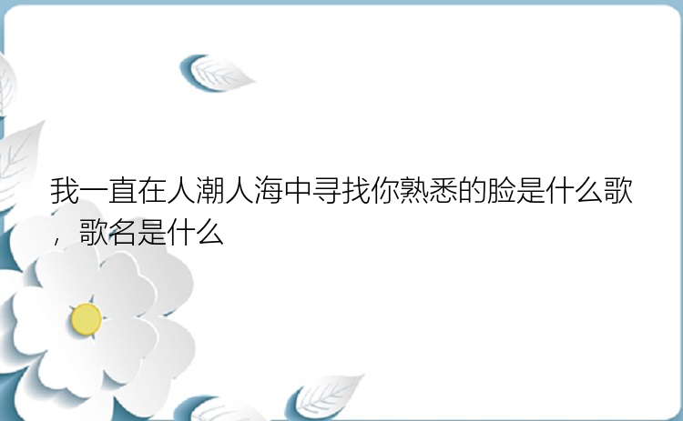 我一直在人潮人海中寻找你熟悉的脸是什么歌，歌名是什么