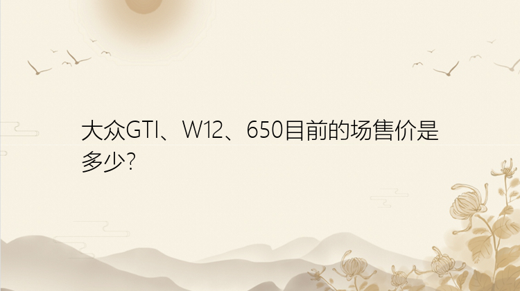 大众GTI、W12、650目前的场售价是多少？