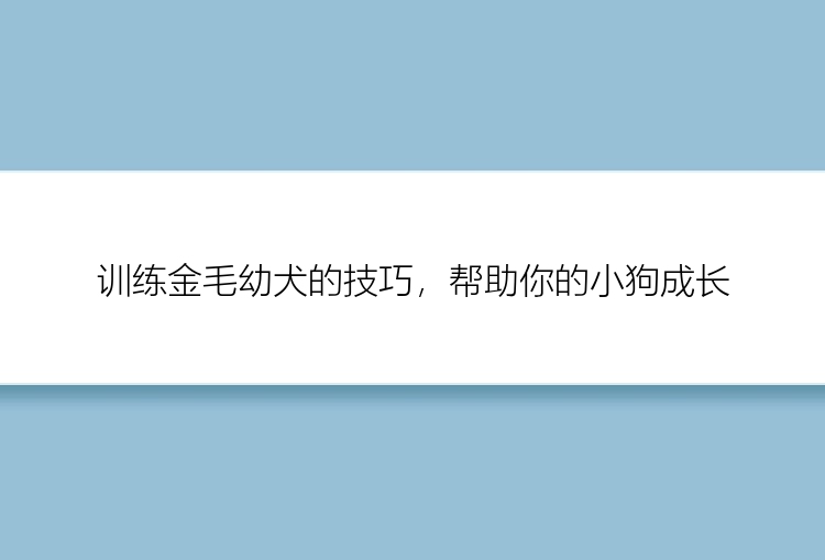 训练金毛幼犬的技巧，帮助你的小狗成长