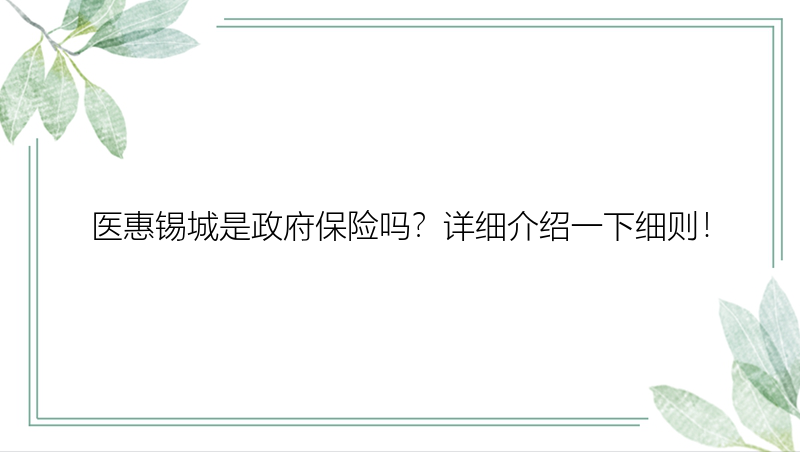 医惠锡城是政府保险吗？详细介绍一下细则！