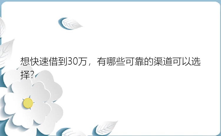 想快速借到30万，有哪些可靠的渠道可以选择？