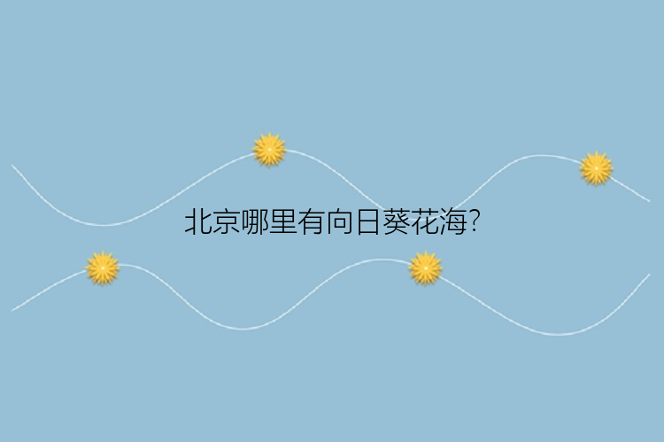 北京哪里有向日葵花海？