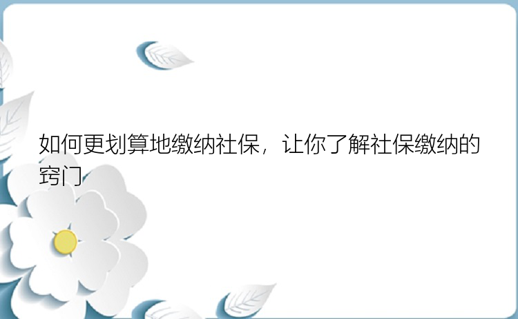 如何更划算地缴纳社保，让你了解社保缴纳的窍门