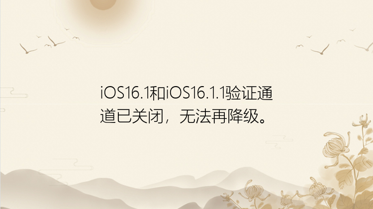 iOS16.1和iOS16.1.1验证通道已关闭，无法再降级。