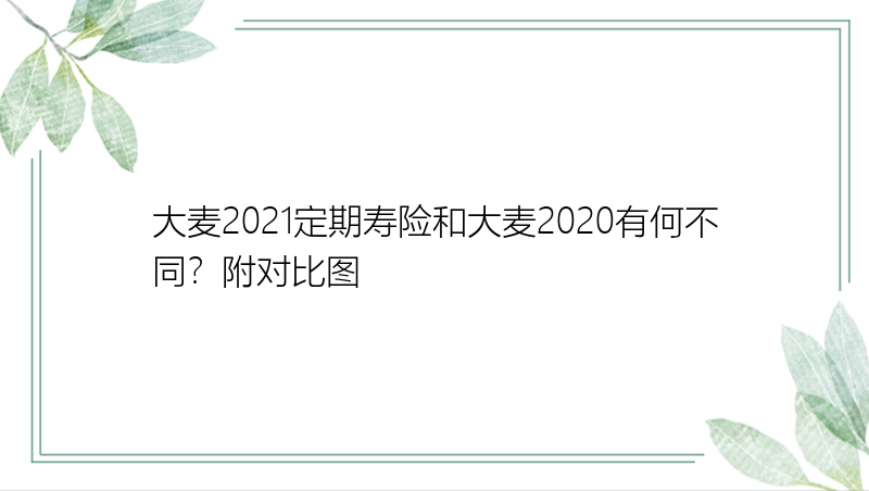 大麦2021定期寿险和大麦2020有何不同？附对比图