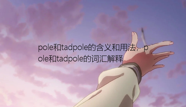 pole和tadpole的含义和用法，pole和tadpole的词汇解释