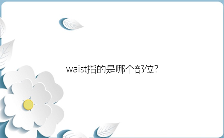 waist指的是哪个部位？