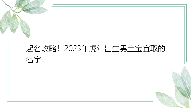 起名攻略！2023年虎年出生男宝宝宜取的名字！