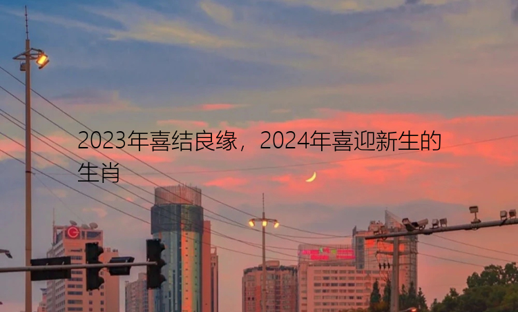 2023年喜结良缘，2024年喜迎新生的生肖