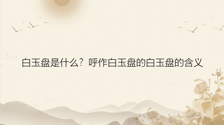 白玉盘是什么？呼作白玉盘的白玉盘的含义