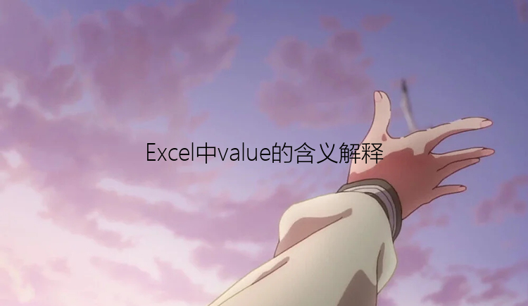 Excel中value的含义解释