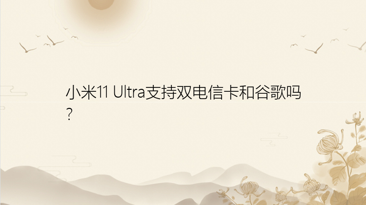 小米11 Ultra支持双电信卡和谷歌吗？