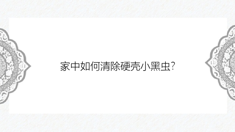 家中如何清除硬壳小黑虫？