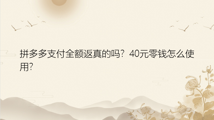 拼多多支付全额返真的吗？40元零钱怎么使用？