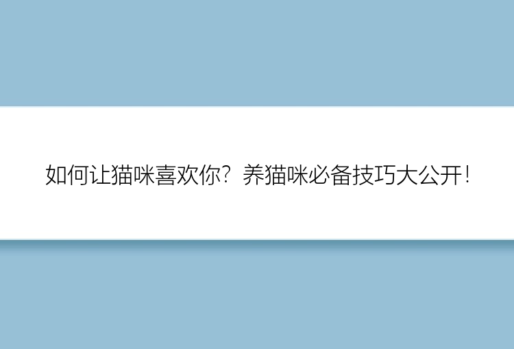 如何让猫咪喜欢你？养猫咪必备技巧大公开！