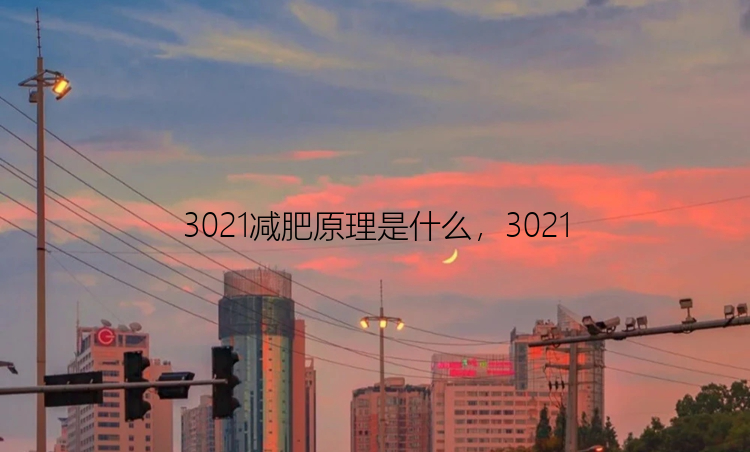 3021减肥原理是什么，3021