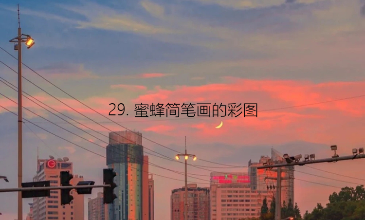 29. 蜜蜂简笔画的彩图