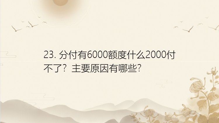 23. 分付有6000额度什么2000付不了？主要原因有哪些？