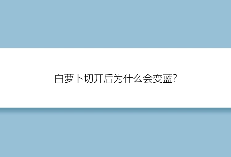 白萝卜切开后为什么会变蓝？