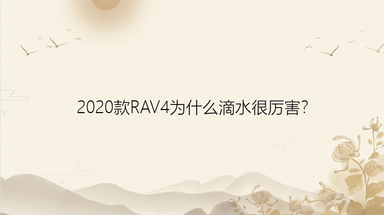 2020款RAV4为什么滴水很厉害？