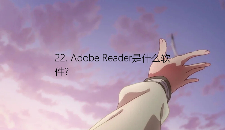 22. Adobe Reader是什么软件？