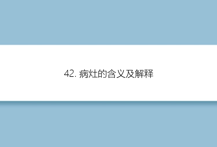 42. 病灶的含义及解释