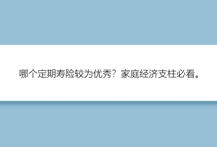 哪个定期寿险较为优秀？家庭经济支柱必看。